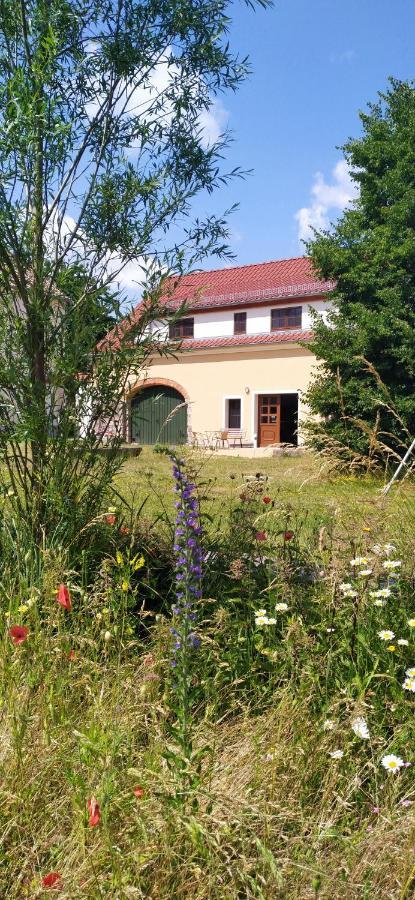 Ferienhof-Kuehn Hochkirch Exterior foto